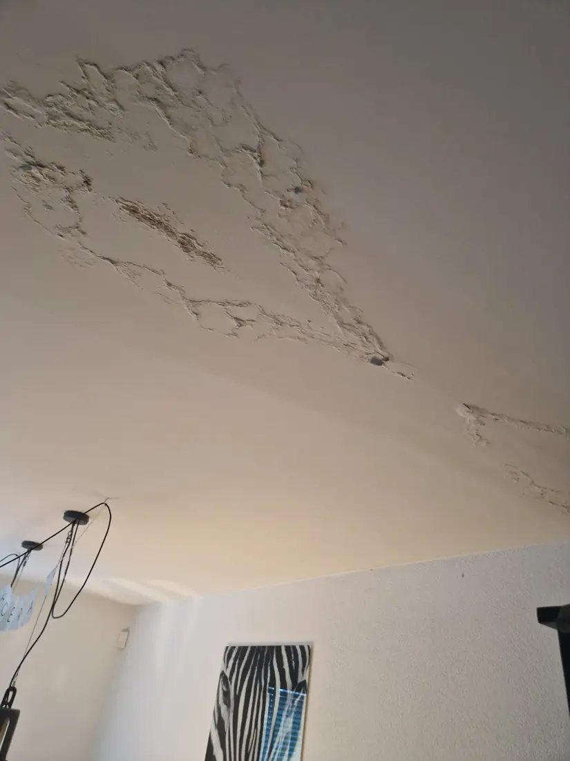 Abgeplatzter Putz und Verfärbungen an einer Decke nach Wassereintritt