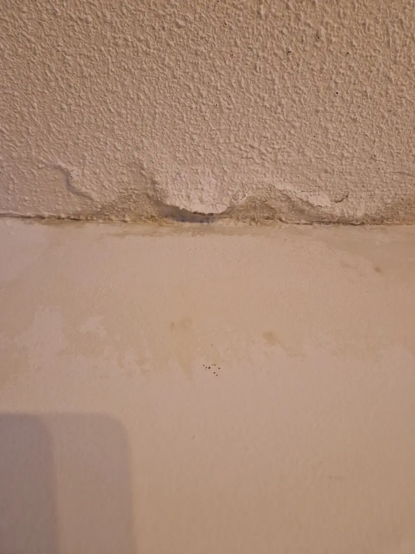 Abgelöster Putz mit Verfärbung am Übergang Wand und Decke