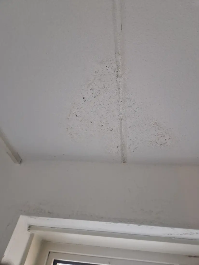 Dunkle Punkte an einer Decke entlang einer Fuge